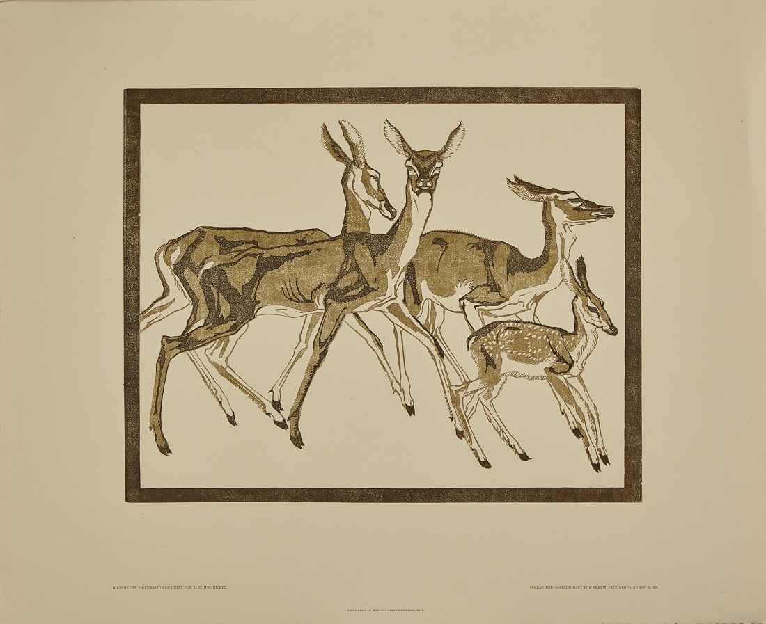 Jungnickel Hirschkuehe